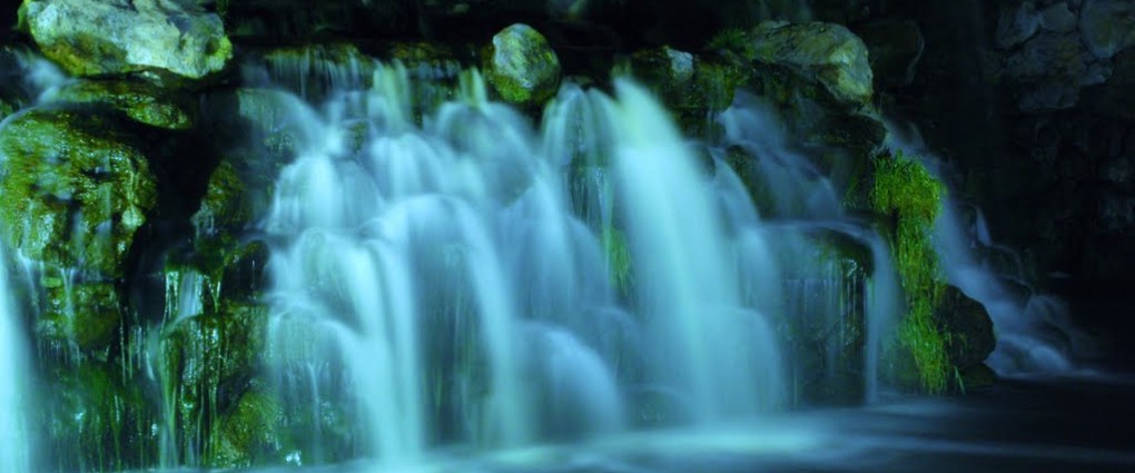 Slideshow Image 2