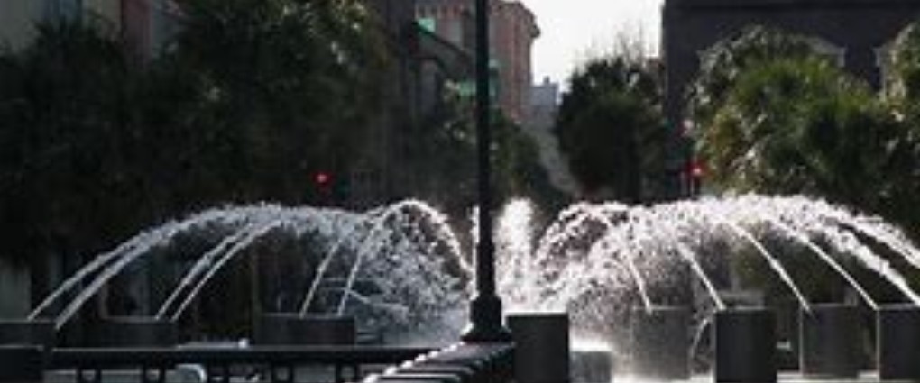 Slideshow Image 6